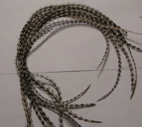 ���� Dry Fly (��� ����� ���) 10 �� ������ ���� , ������ � 16